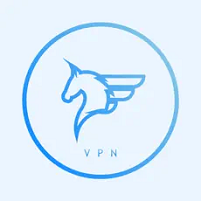 798加速器下载官网飞马最新版